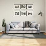 vidaXL PAMPLONA zöld magas szálú bolyhos modern szőnyeg 100 x 200 cm (375298)
