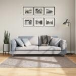 vidaXL PAMPLONA bézs magas szálú bolyhos modern szőnyeg 160 x 160 cm (375214)