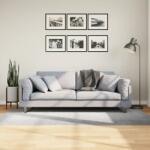 vidaXL IZA szürke rövid szálú skandináv stílusú szőnyeg 100 x 200 cm (375451)