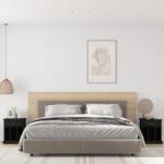 vidaXL 2 db fekete éjjeliszekrény 43x36x50 cm (816347) - vidaxl