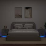 vidaXL 2 db betonszürke szerelt fa éjjeliszekrény LED-fényekkel (836742)