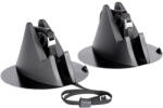 Fabbri Suport schi si snowboard cu prindere magnetica, 2 perechi ski / 2 snowboard Ellisse Ski & Board (6960810)