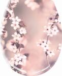 Kleine Wolke Blossom capac wc SoftClose 1857401075 (1857401075)