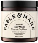 Fable Mane Ingrijire Par HoliRoots Hair Maske Masca 237 ml