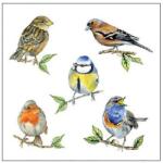 Ambiente Madaras szalvéta - 25x25 cm - Bird Species (VR-12518135)