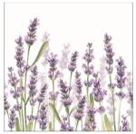 Ambiente Levendulás szalvéta - Lavender Shade White (VR-13315985)