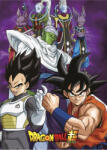 Marvel Dragon Ball polár takaró, pléd 100x140 cm Nr6