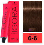 Schwarzkopf Igora Royal hajfesték 6-6 - hajpatika