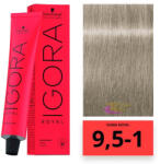 Schwarzkopf Igora Royal hajfesték 9 1/2-1 - hajpatika