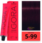 Schwarzkopf Igora Royal hajfesték 5-99 - hajpatika