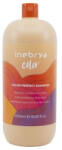 Inebrya Color Color Perfect sampon Festett hajra hajra. 1 l