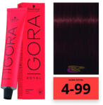 Schwarzkopf Igora Royal hajfesték 4-99 - hajpatika
