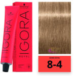 Schwarzkopf Igora Royal hajfesték 8-4 - hajpatika