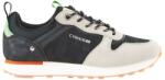 Cygnus Oscar , Negru , 44