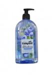 Ultra Compact Sapun Lichid Blueberry 500ml