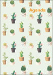 Dayliner Naptár, tervező, A5, heti, DAYLINER, "Colors", Cactus (DL5AG-COFA5HE-CC) - iroszer24