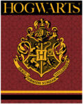  Harry Potter Crest coral fleece polár takaró 120x150cm