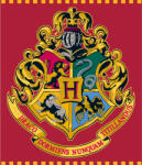  Harry Potter Red coral fleece, polár takaró 120x150cm - szukits