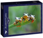 Bluebird Puzzle 500 db-os puzzle - Friendly Frogs (90128) (90128)