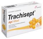 Labormed Trachisept Api Vital, 16 comprimate, Labormed