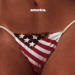 The Black Crowes - Amorica (Reissue) (2 LP) (0602537494231)