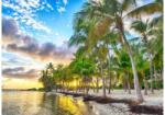 Bluebird Puzzle 90414 - Guadeloupe, Anse Champagne - 500 db-os puzzle