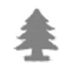  Mintalyukasztó 38mm Fenyő