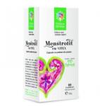 Steaua Divina Menstrofit cu Vitex Santo Raphael 60cps