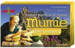 Damar General Trading Extract Purificat de Rasina Mumie 30 tablete Damar
