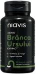 Niavis Branca Ursului Extract 380 miligrame 60 capsule Niavis