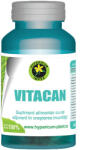 Hypericum Plant Vitacan 60 capsule Hypericum