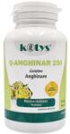 Kotys Supliment Alimentar Q-Anghinare cu 250 miligrame extract de Anghinare 60 comprimate Kotys