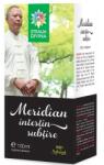Steaua Divina Tinctura Meridian Intestin Subtire Santo Raphael 100ml