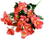  Korall színű vegyes csokor, hossza kb. 33 cm