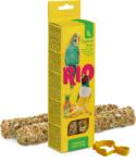Rio Batoane cu fructe tropicale pentru perusi si pasari exotice Rio, 2 x 40g (22110)