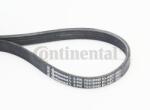 CONTITECH 5PK705ELAST Curea transmisie cu caneluri