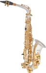 Bacio Instruments BAS-100SG