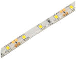 Avide 4, 8W 4000K IP65 60LED/m 12V LED szalag Avide (AVI ABLS12V2835 60NW65 4 8W)