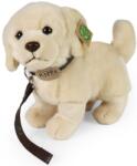 Rappa Jucărie de pluș Rappa Eco prietenii - Golden Retriever, 25 cm (231009)