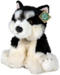 Rappa Jucărie de pluș Rappa Eco prietenii - Câine Malamute, 28 cm (198920)