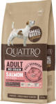 Quattro Small Adult No Grain Salmon (2 x 7 kg) 14 kg