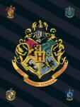 Warner Bros. Interactive Harry Potter polár takaró, pléd 100x140 cm Nr1