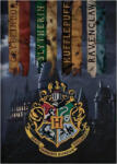 Warner Bros. Interactive Harry Potter Houses polár takaró, pléd 100x140 cm Nr3