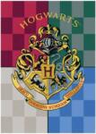 Warner Bros. Interactive Harry Potter polár takaró, pléd 100x140 cm Nr2