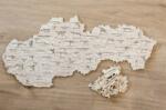 Danson - Puzzle Ručné zbrane drevené puzzle v krabičke - 1 - 39 piese Puzzle