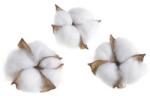 Flori de bumbac artificiale set 12 buc (4085)