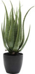 KARE Aloe Vera Dekornövény - 69 cm (KHM-60724)