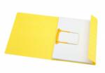 JALEMA Dosar carton color, cu alonja arhivare, 250 g/mp, galben, JALEMA Secolor (DJ-3103106)