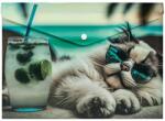 Panta Plast Mapă personalizată cu buton, A4, PP, Panta Plast, Chillout Cat