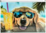 Panta Plast Mapă personalizată cu fermoar, A4, PP, Panta Plast, Chillout Dog